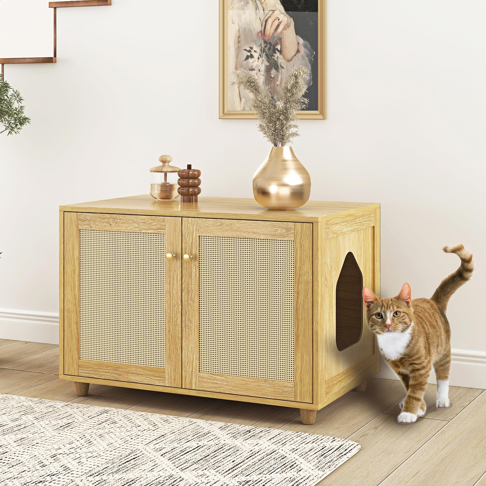 Cosliana Cat Litter Box