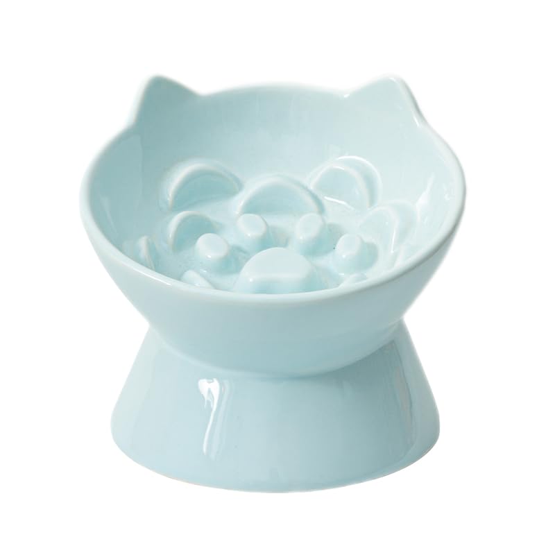 Ceramic Slow Feeder Bowl