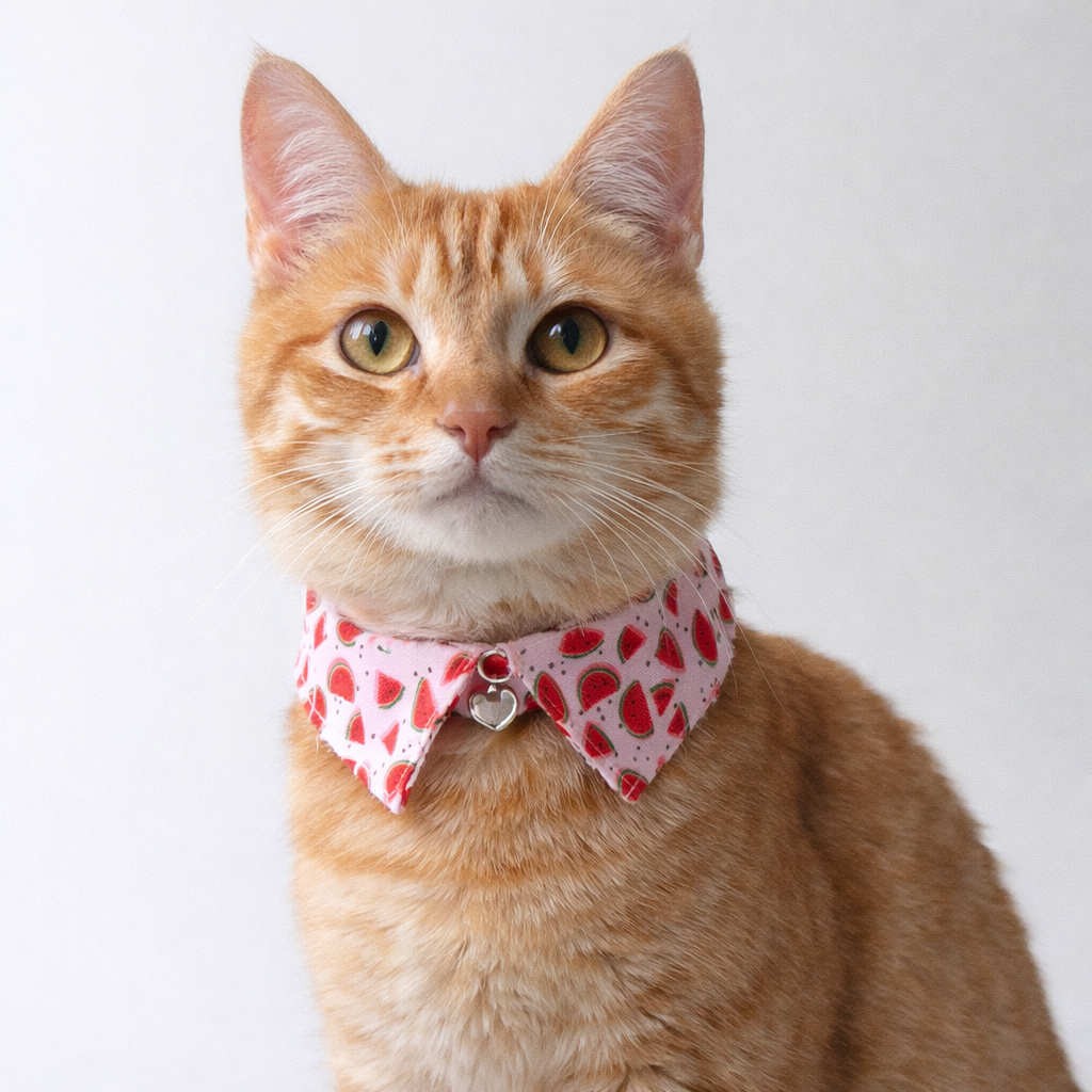 Fruit Blossom Bow Tie